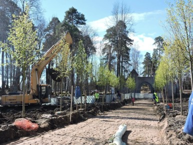 �������� �� ��������: ��� �������� ���� � ������� ��������� � ����