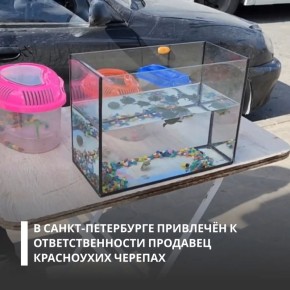 � ������-�������� ��������������� ���������� ���������������� ��������� ��������� � ������� ���������� ������� � ������� ����� ����������