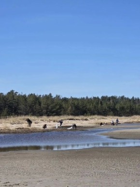 ���������� �������� �� ��� ���������� ������� � ������� �������� ��������� ����������� ��������� ������ �� ����� �������� � �������: ������ �����, �����, ������ � ��, ��� ���������� �� ����