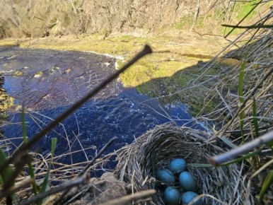 ��������� ���������: ���� ���������� ���������� �� ������ �������������� ��������, �� � ����