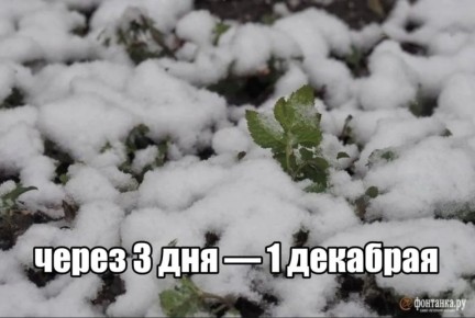 88% �������� ����� ������� ������� ��������� �� ��� ���