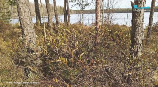 � ����� ���������� � ���������� ������� ��������� � ����������� ����������� �� ��������� ����������