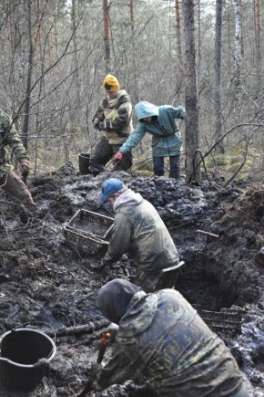 �� ����������� ������� ����� ������� �����, ��������� ��� ������������ ����������