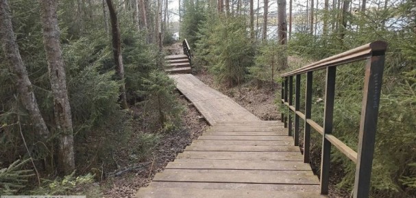 �� ���� ���������� ������� �������� � �������-������� ������