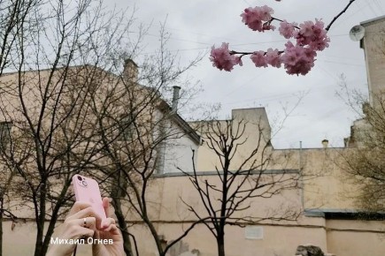 ���������� ������ � ���. � ��������� ������������ �����