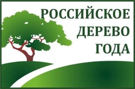 ��������� ��������� ������� �� ������� ����������� ������ �� ��������� � �������� ����������� ������ ���� � 2026�