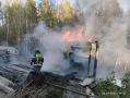 За прошедшие сутки подразделения территориального пожарно-спасательного гарнизона Ленинградской области реагировали на 25 оперативных событий: