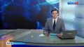 В Ленинградской области - сезонная миграция молодых лосей