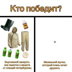 Больше 1,5 тысяч человек пострадало от клещей в Петербурге и Ленобласти за последние семь дней