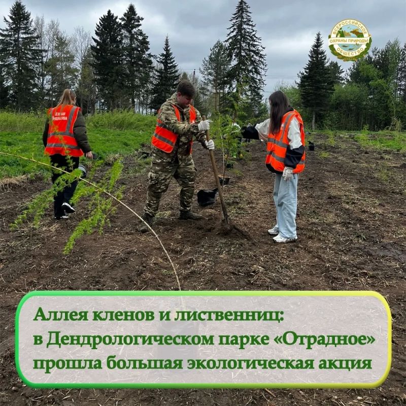 В дендропарке «Отрадное» прошел субботник