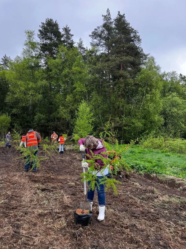 В дендропарке «Отрадное» прошел субботник В дендропарке «Отрадное» прошел субботник