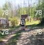 Обезглавленное тело собаки обнаружили в посёлке под Выборгом