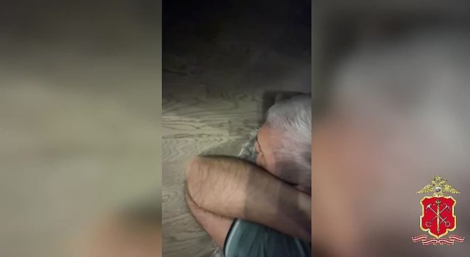 Петербургские полицейские пресекли деятельность группы, подозреваемой в мошенничестве под видом инвестиций
