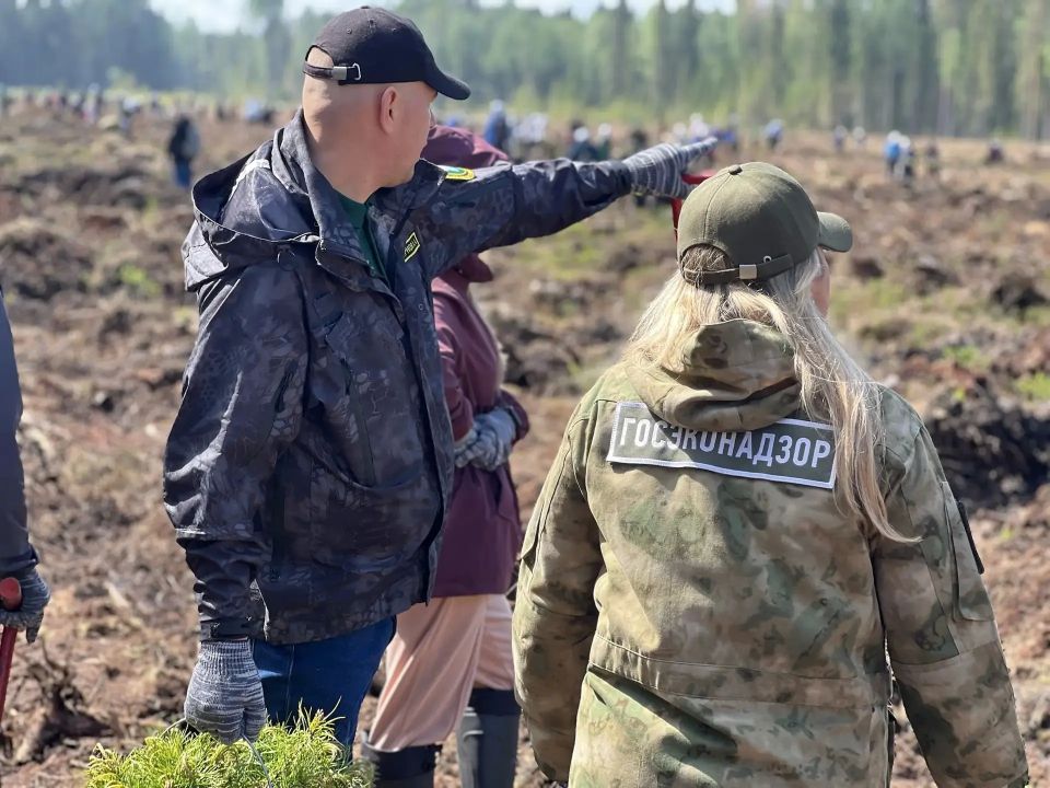 В Гатчинском округе впервые представили конную экомилицию В Гатчинском округе впервые представили конную экомилицию