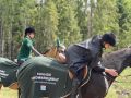 В Гатчинском округе впервые представили конную экомилицию
