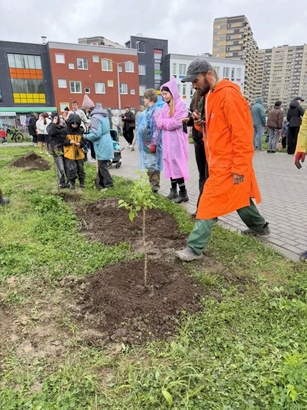 В Мурино высадили кусты сирени с участием многодетных семей Ленобласти В Мурино высадили кусты сирени с участием многодетных семей Ленобласти