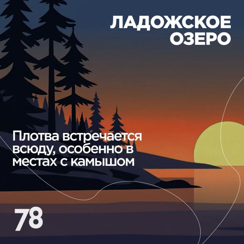 Где поймать рыбу вашей мечты? Где поймать рыбу вашей мечты?