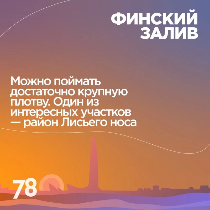 Где поймать рыбу вашей мечты? Где поймать рыбу вашей мечты?