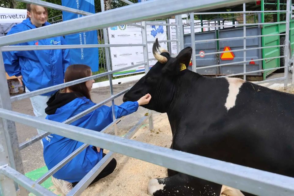Победителем открытого конкурса профессионального мастерства «Лучший ветеринарный ортопед Северо-Западного федерального округа» стал Алексей Сальников из «Племхоза имени Тельмана». Он будет представлять регион на федеральных... Победителем открытого конкурса профессионального мастерства «Лучший ветеринарный ортопед Северо-Западного федерального округа» стал Алексей Сальников из «Племхоза имени Тельмана». Он будет представлять регион на федеральных...