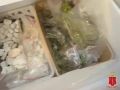 Во Всеволожском районе оперативниками задержан контактный сбытчик наркотиков