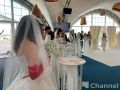 В День семьи, любви и верности во Всеволожске прошел свадебный фестиваль "Рождение семьи Ленинградской"