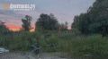 «Вонь невыносимая». Мертвую рыбу из Аннинского озера обнаружили на незаконной свалке недалеко от жилых домов