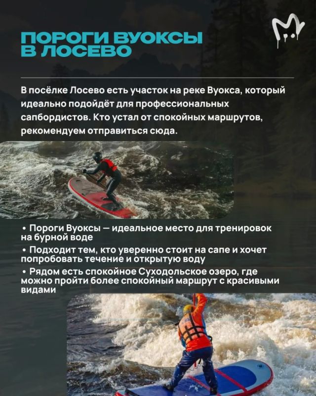 Сапы сами себя не выгуляют Сапы сами себя не выгуляют