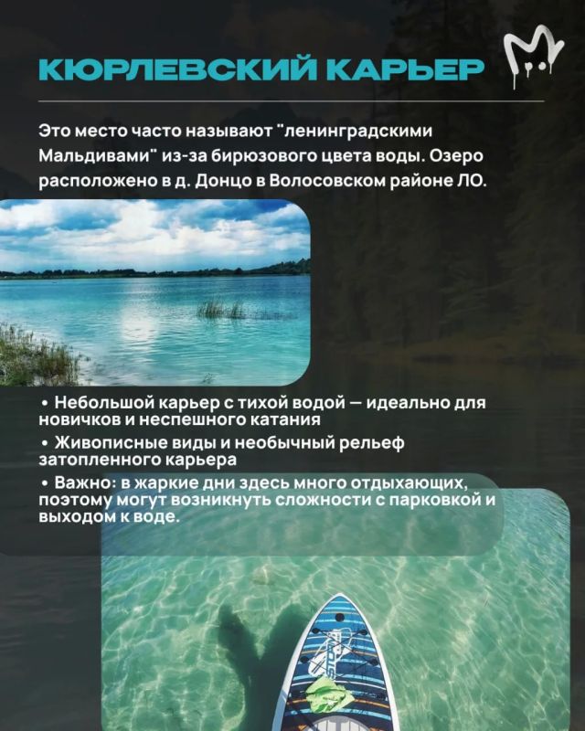 Сапы сами себя не выгуляют Сапы сами себя не выгуляют