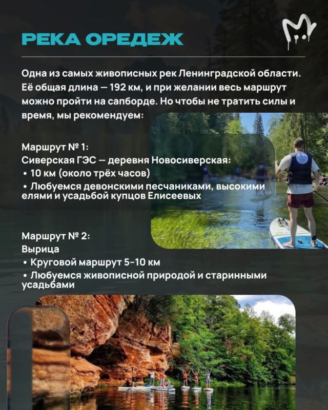 Сапы сами себя не выгуляют Сапы сами себя не выгуляют