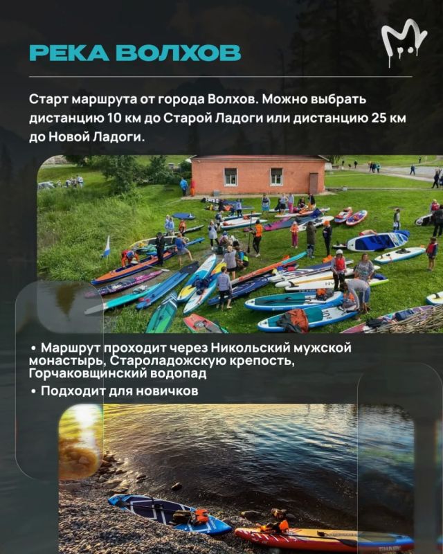 Сапы сами себя не выгуляют Сапы сами себя не выгуляют