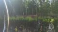 На видеокадрах показана обстановка в первые дни происшествия и по состоянию на сегодня