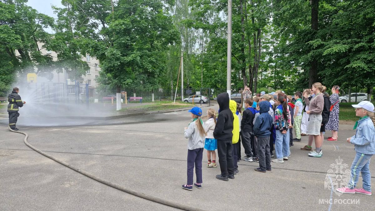Пожарная безопасность в летний период Пожарная безопасность в летний период