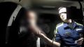 В Ленобласти полиция применила оружие при задержании пьяного водителя большегруза