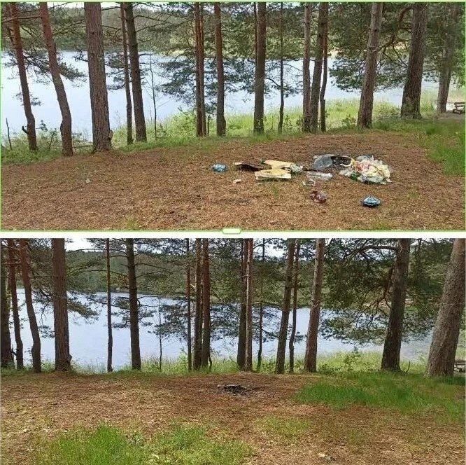С берегов водоемов Ленобласти убрали 95 кубометров мусора С берегов водоемов Ленобласти убрали 95 кубометров мусора