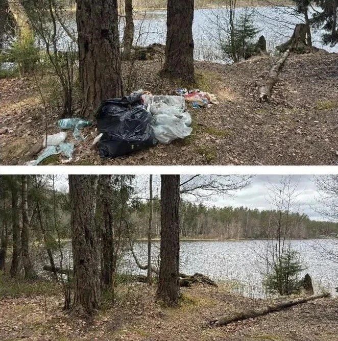 С берегов водоемов Ленобласти убрали 95 кубометров мусора С берегов водоемов Ленобласти убрали 95 кубометров мусора