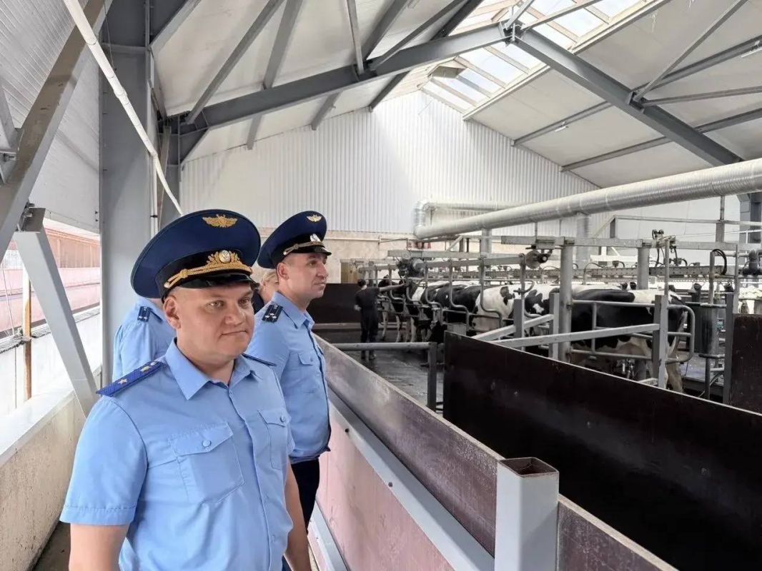 Прокурор Ленинградской области Пётр Забурко провёл приём граждан и посетил сельскохозяйственную организацию в Волосовского района Прокурор Ленинградской области Пётр Забурко провёл приём граждан и посетил сельскохозяйственную организацию в Волосовского района