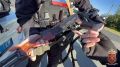 Полиция проверила автотранспорт на крупных магистралях Васильевского острова
