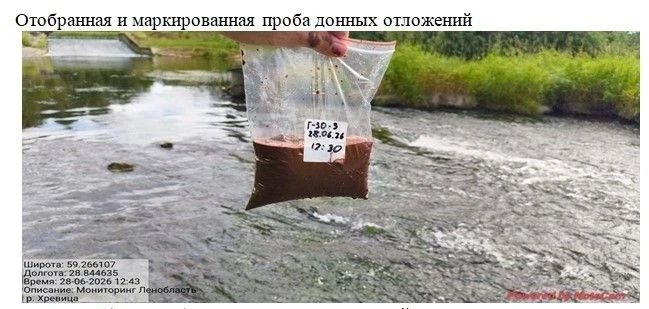 В Ленинградской области завершился второй этап мониторинга состояния рек и озёр В Ленинградской области завершился второй этап мониторинга состояния рек и озёр