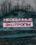 Отыскать каньон или гигантские валуны ледникового периода в Ленобласти, прогуляться по лесу или аккуратному болоту — собрали для вас самые необычные экотропы