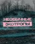 Отыскать каньон или гигантские валуны ледникового периода, прогуляться по лесу или аккуратному болоту — всё это пожалуйста в Ленобласти