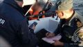 Патрулирование ГИМС. В прошедшие выходные сотрудники Кингисеппского отделения ГИМС совместно с сотрудниками МВД России провели патрулирование водных объектов Кингисеппского района
