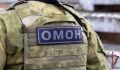 В Ленинградской области при содействии Росгвардии завершился рейд по проверке соблюдения ПДД и миграционного законодательства