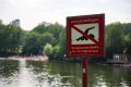Петербуржцам негде купаться