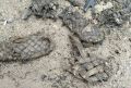 Лапти нашли в Ленобласти под землей