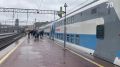 «Аврора-шаттлы» начали курсировать между Петербургом и Выборгом