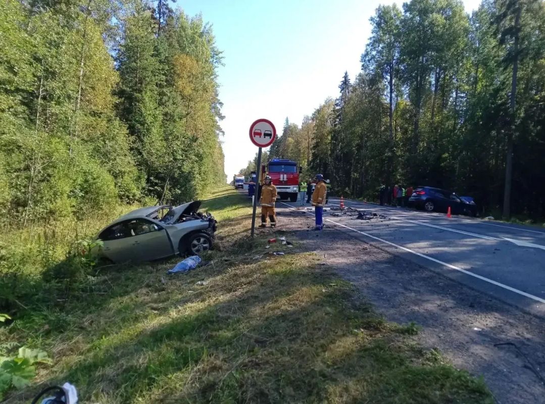 За прошедшие сутки подразделения территориального пожарно-спасательного гарнизона Ленинградской области реагировали на 14 оперативных события: За прошедшие сутки подразделения территориального пожарно-спасательного гарнизона Ленинградской области реагировали на 14 оперативных события: