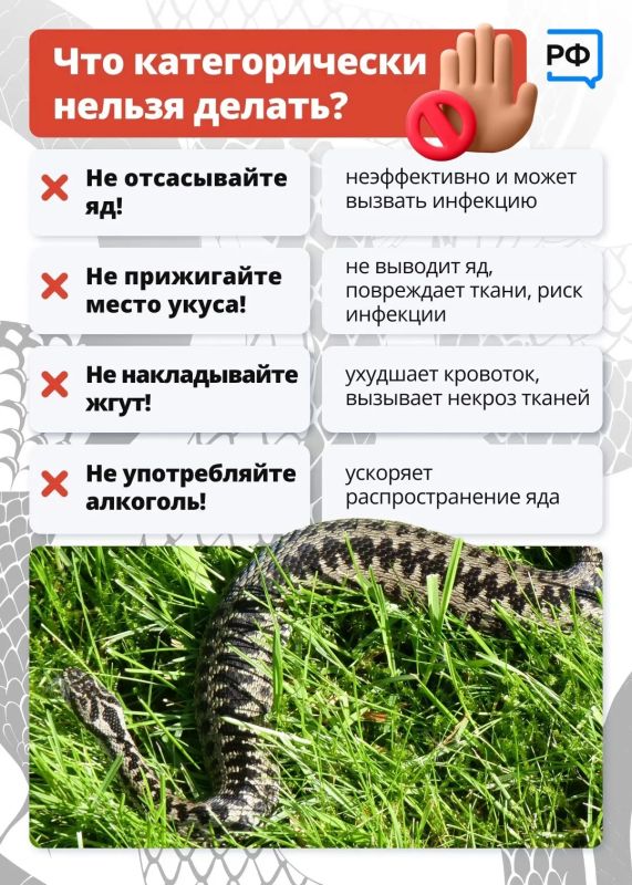 В Ленобласти сезон «тихой охоты» в самом в разгаре В Ленобласти сезон «тихой охоты» в самом в разгаре