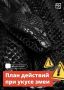 В Ленобласти сезон «тихой охоты» в самом в разгаре