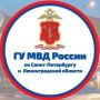 Во Всеволожском районе задержан мужчина, применивший в конфликте с соседом биту и аэрозольное устройство