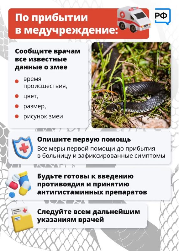 В Ленобласти сезон «тихой охоты» в самом в разгаре В Ленобласти сезон «тихой охоты» в самом в разгаре